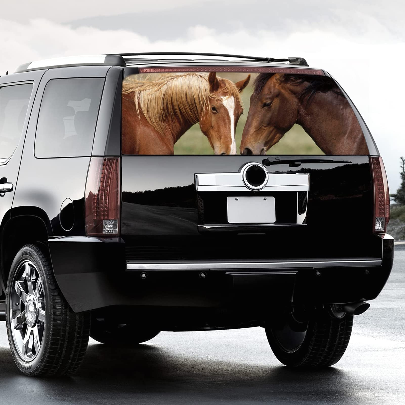 WOKEZ Adesivo del finestrino Posteriore, Adesivo Posteriore Adesivo per Cavallo Decal Grafico Perforato Vedi Attraverso Universal per i camioncini SUV,165x56cm