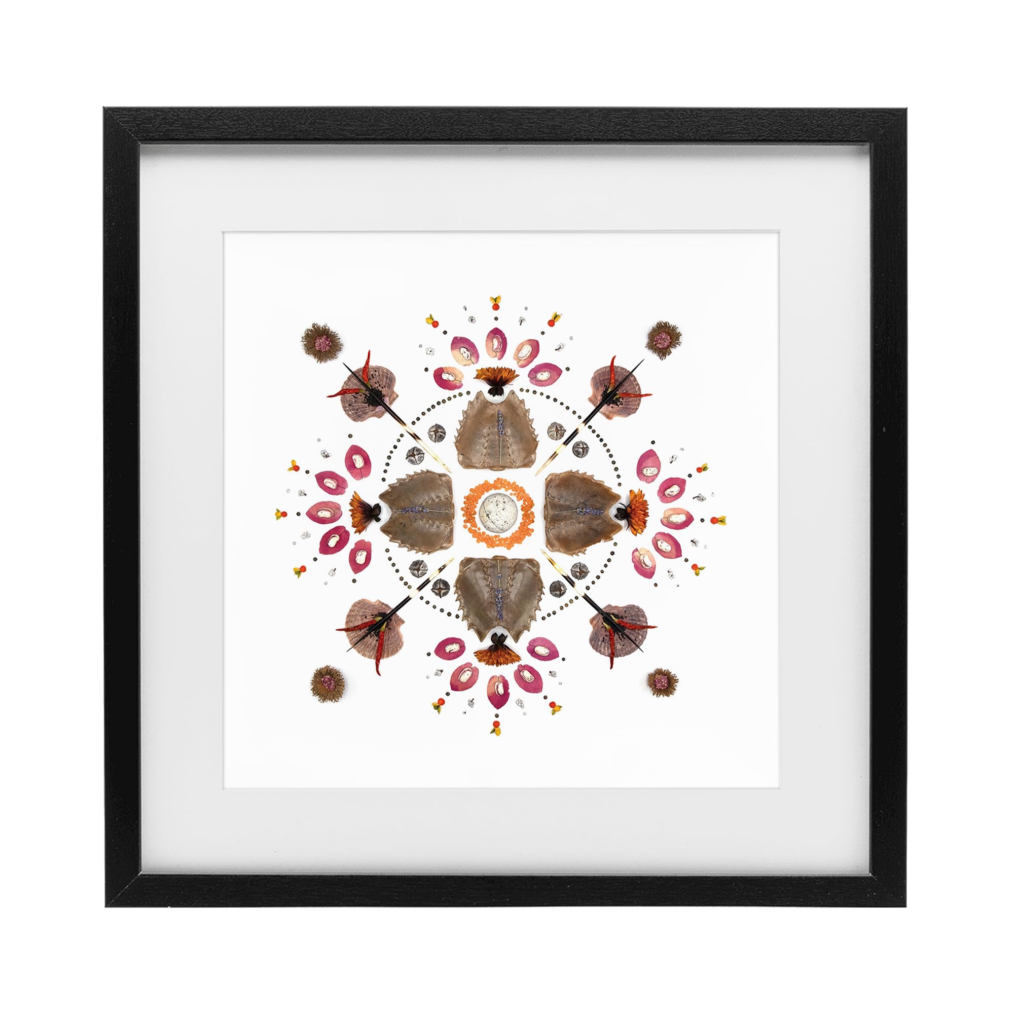 Stupell Industries Midnight Black (Textured) Symmetrical Nautical Mandala, 16 X 16 Inch Framed Print Under Glass
