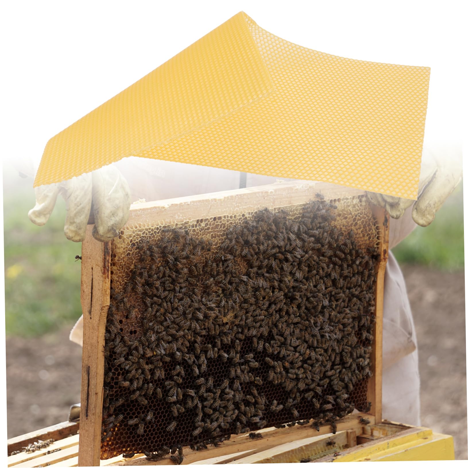 TOYANDONA 30 Láminas Base de Cera de Abejas para Colmenas Amarillas, Material de Cera Natural, Alta Producción y Rápido Anidado, para Fabricación de Velas y Apicultura
