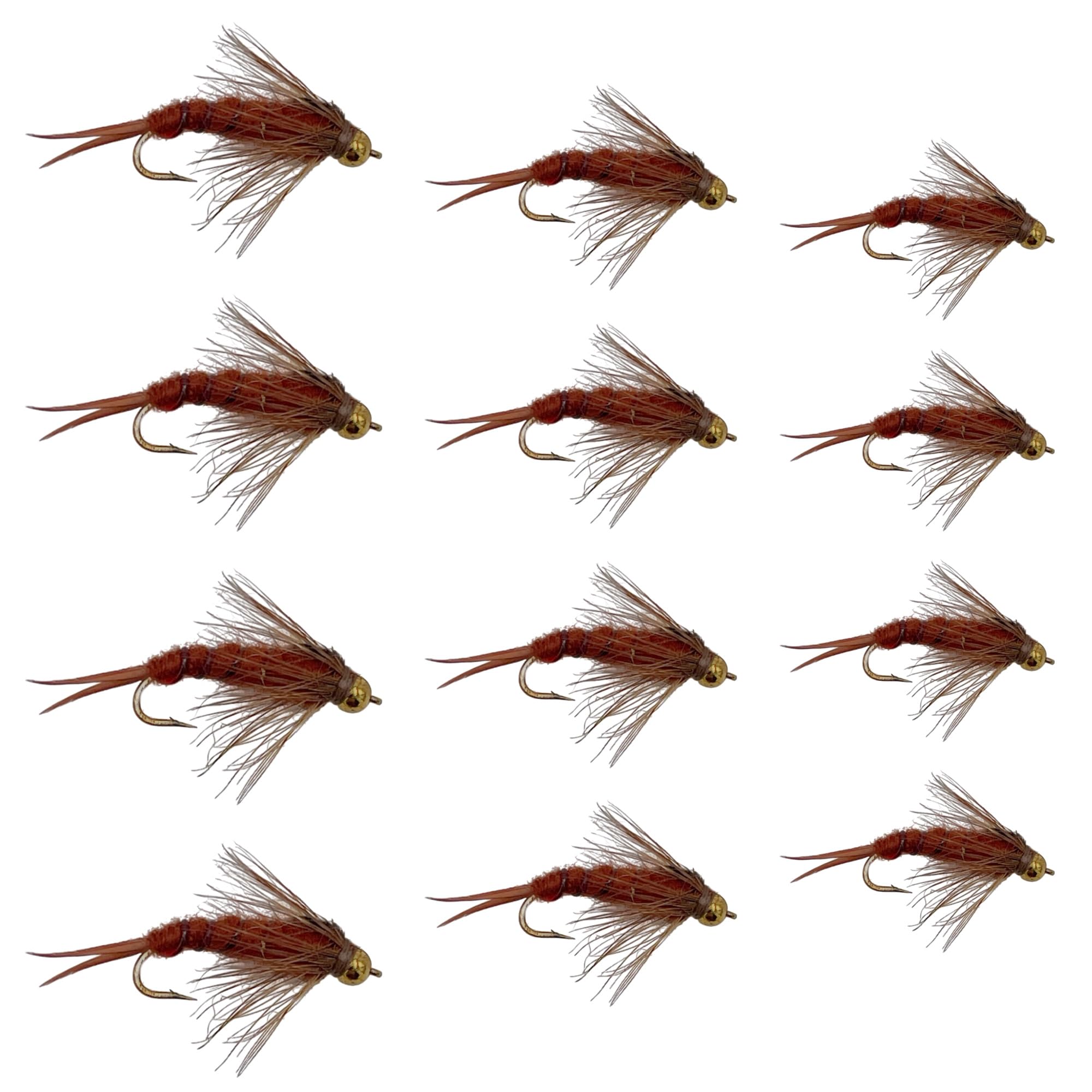 Feeder Creek Fly Fishing Flies | Bead Head and Regular Stonefly Nymphs | 12pc Wet Lures | Trout and Bass Flies | Fly Fishing Assortment