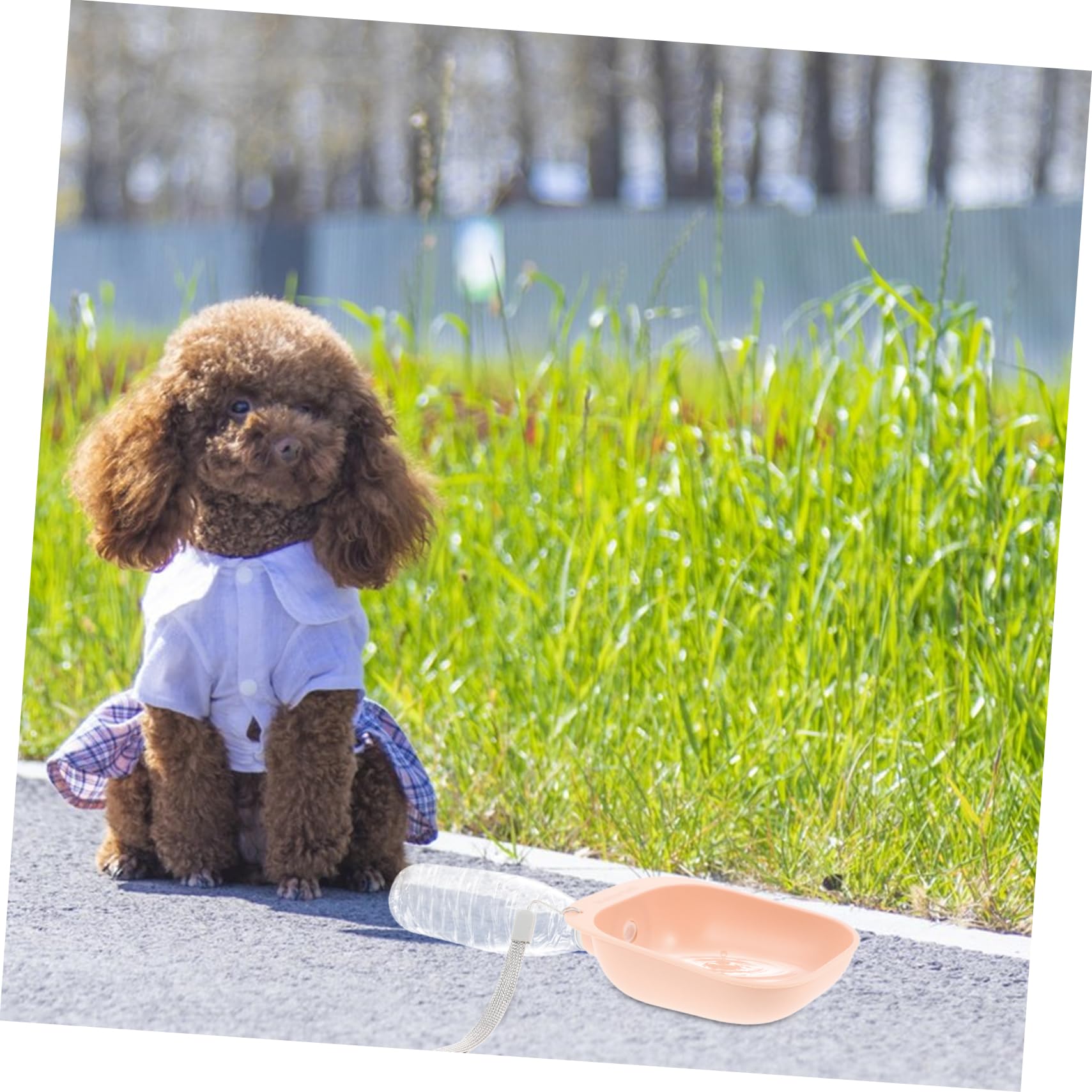 Milisten Portable Pet Water Feeder for Travel Dog Bowl Attachment Splashproof Water Bottle for Dogs