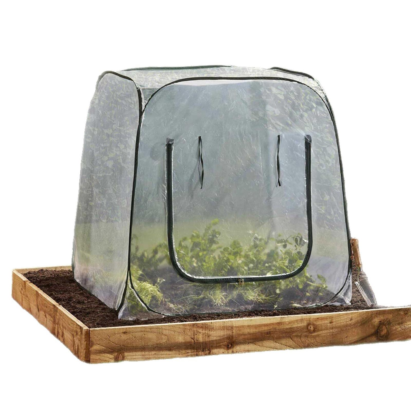 Cubierta de invernadero para plantas, diseño aislado para jardín, materiales protectores de PVC transparente, construcción de marco de acero, cubierta protectora para plantas para varias estaciones