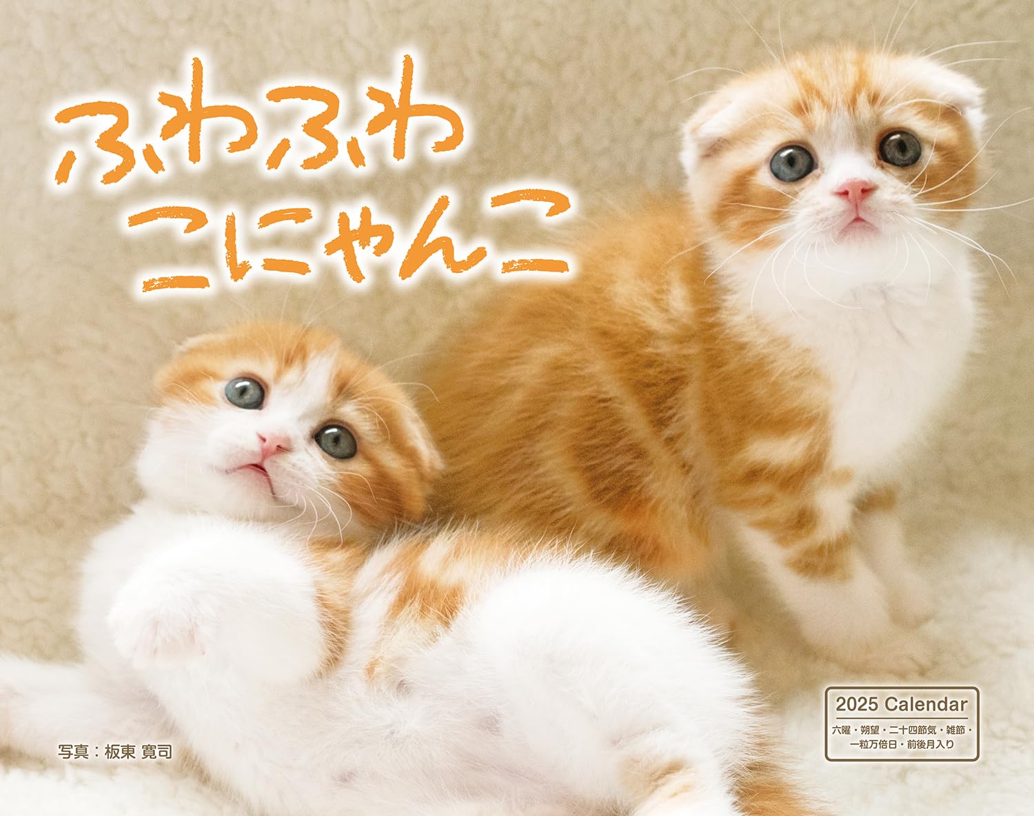 にゃんにゃんにゃんこ ★ カレンダー メモパッド ノート、紙袋 にゃんにゃんにゃんこ ☆ カレンダー メモパッド ノート、紙袋