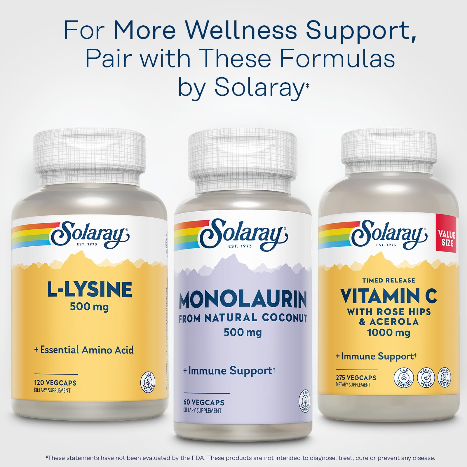Solaray L-Lysine 500mg, Health Support Pills, 120 Vegan Capsules — Amazon image 6