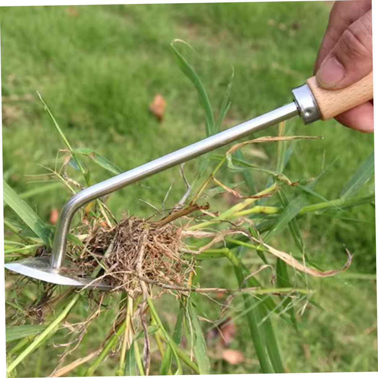 SUPVOX 4 Pezzi di Sarchiatore Manuale Strumento di Rimozione delle Radici Strumento di Diserbo Multifunzione per Giardino Canada