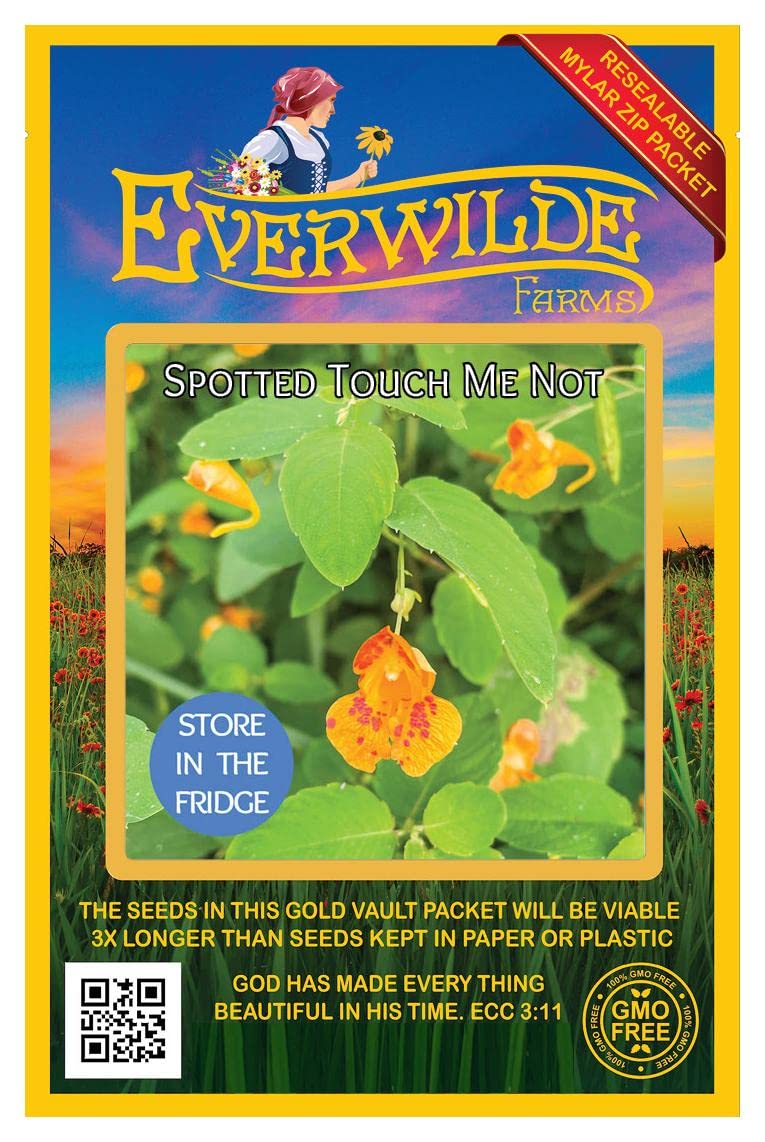 Everwilde Farms - 25 Spotted Touch-me-not Native Wildflower Seeds - Gold Vault Seed Packet