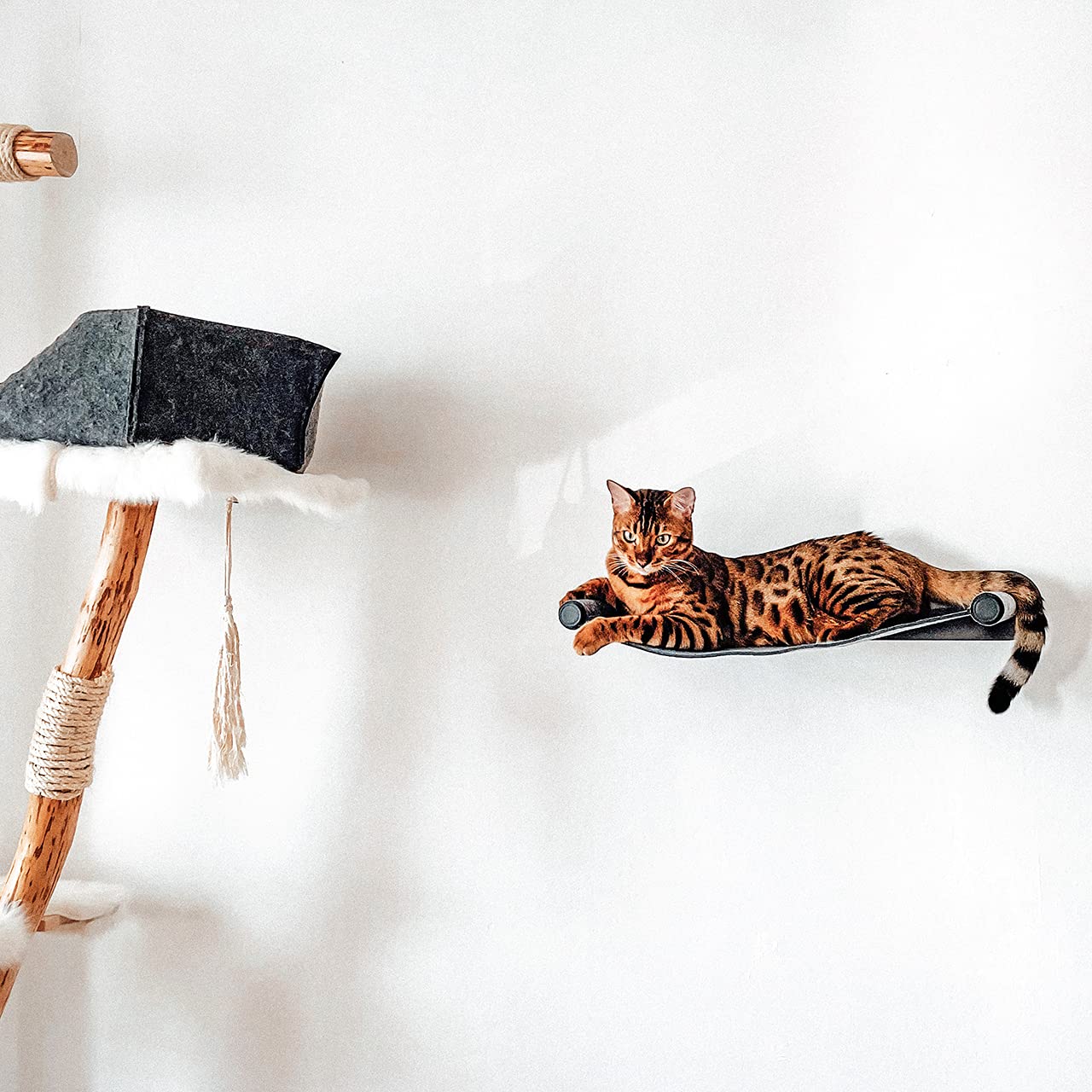 CanadianCat Company | Katzenhängematte aus Filz mit Wandmontage | ca. 65 x 35 x 10 cm | Anthrazit | Kletterwand Liegemulde Wandliege Katzenbett aus Filz