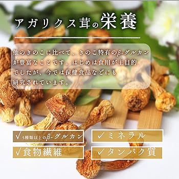 【中古】 最強のアガリクスは「姫マツタケ（岩出１０１株）だった！！ ガン学会発表だからガンが治る！/現代書林/健康美容評価センター 中古】 最強のアガリクスは「姫マツタケ（岩出101株）だった