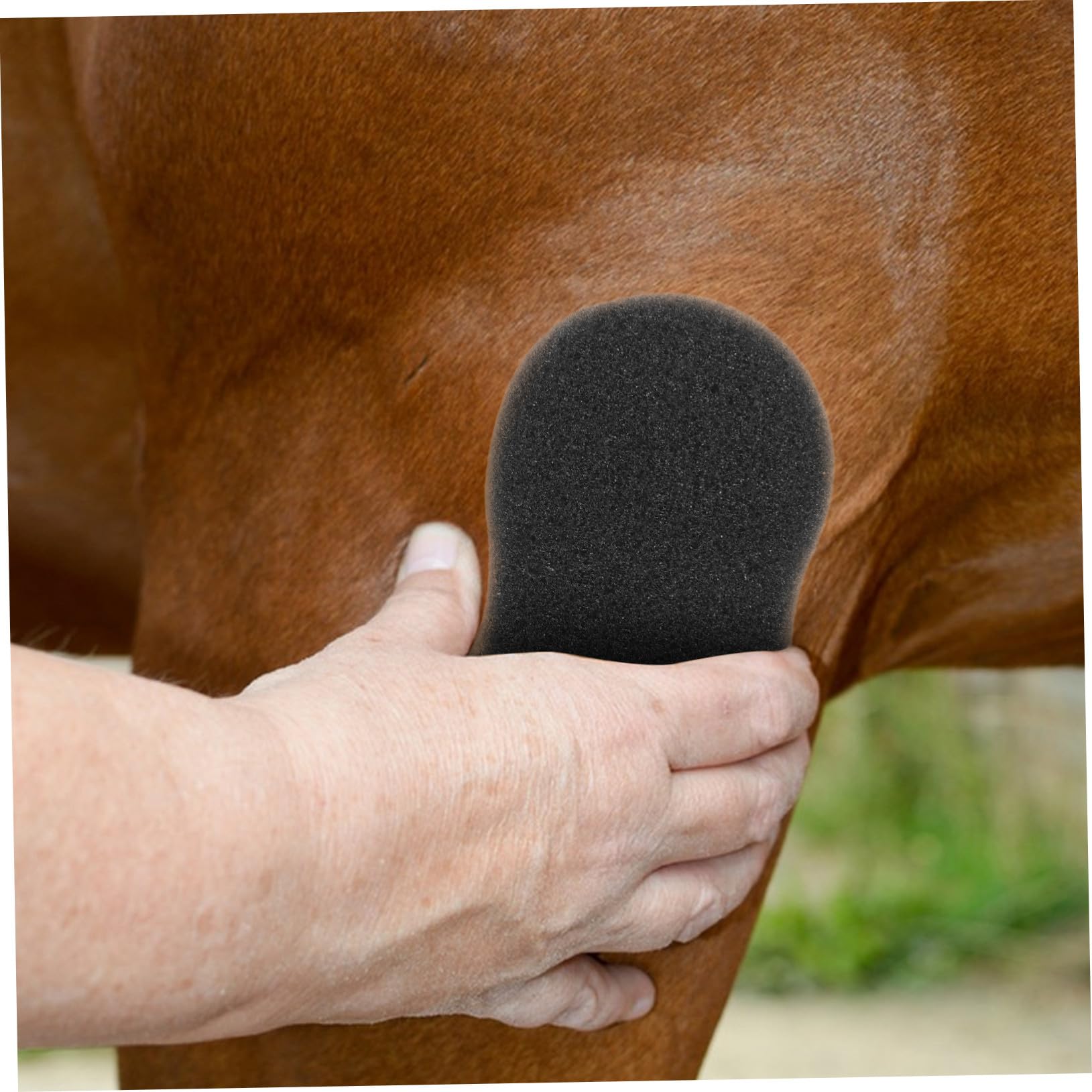ORFOFE 5piezas Esponjas Para Limpieza y Baño De Caballos Esponjas Duraderas y Suaves Para Cuidado Animal Herramientas De Higiene Para Eliminar Suciedad y Pelo Suelto Accesorio Esencial Pa
