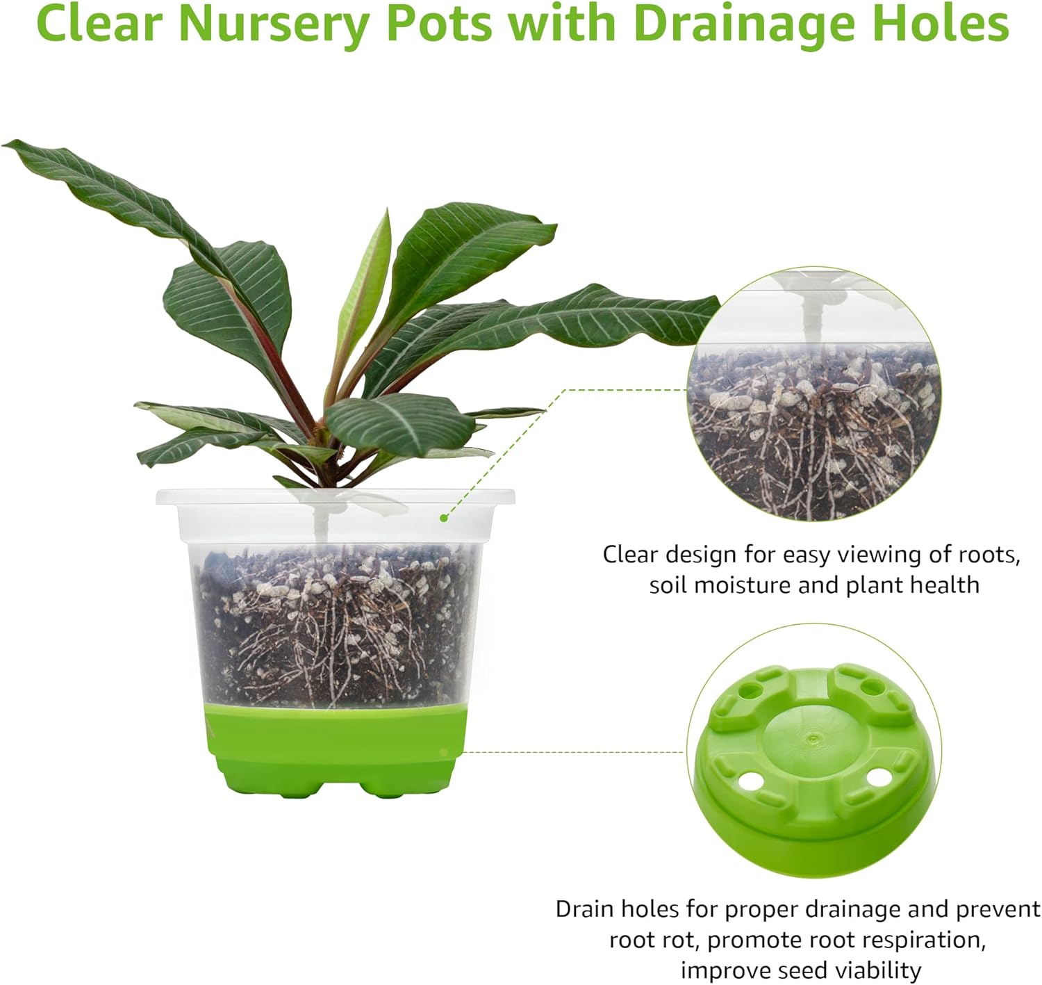 MIXC Thickened Clear Nursery Pots with Silicone Base for Easy Transplant 30 Packs 4 Inch, Transparent Plant Pot Reusable Seedling Pots for Vegetable Propagation, Root Cutting, Seed Starting, Green - Image 5