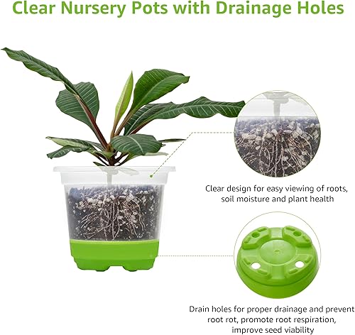 Vista 5 de MIXC Paquete de 30 macetas transparentes reforzadas de 4 pulgadas con base de silicona para un fácil trasplante, maceta de plástico transparente