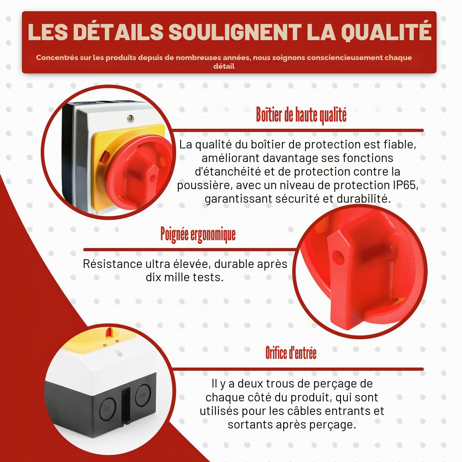 Interrupteur Principal 16A 3 Broches IP65 Avec Boîtier Plastique - Montage Saillie - Séparation Charge