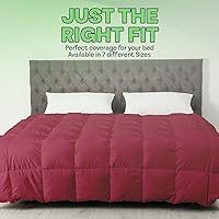 Vista 7 de Sacred Thread Edredón reversible – Poliéster y rayón derivado del relleno de edredón de bambú, para todas las estaciones, relleno alternativo al