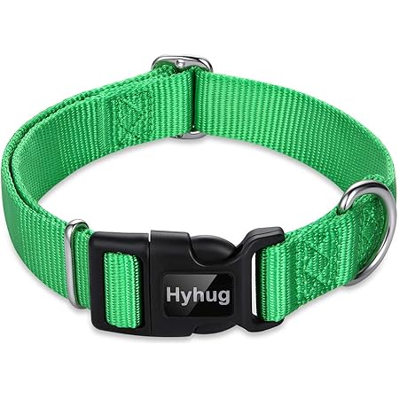 amazon blueberry collar