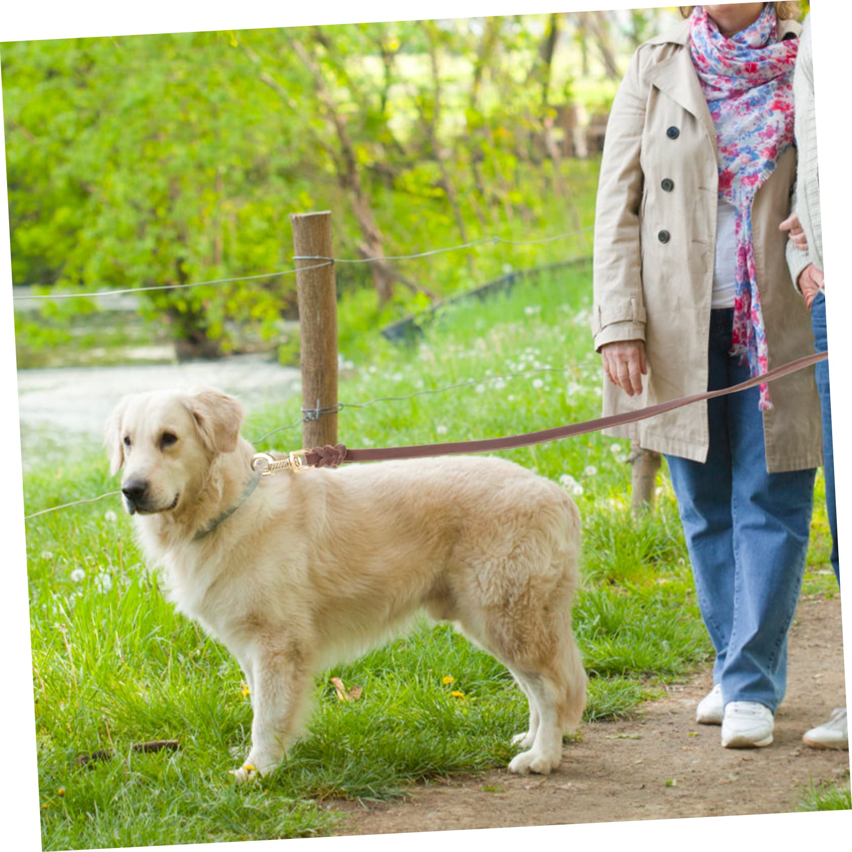 YARNOW 3pièces Laisse Cuir pour Chien Corde De Traction pour De Chien Couleur Marron avec pour De Moyenne à
