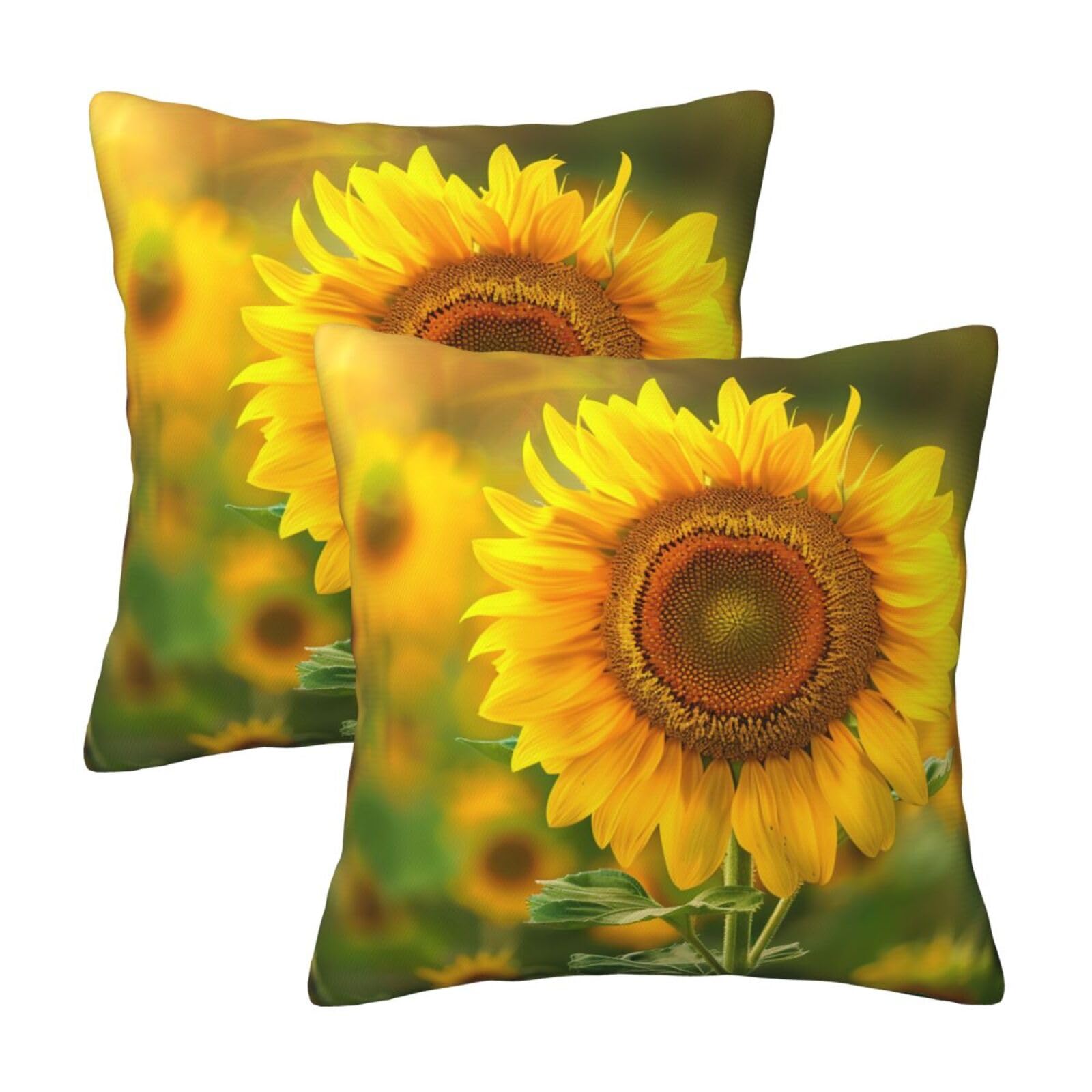kkvhhyuo bright sunflower Print Pillow Covers Set of 2, Square Decorative Cushion Covers with Hidden Zipper, Throw Pillow Cases for Living Room Sofa Bed Chair, 50x50 cm
