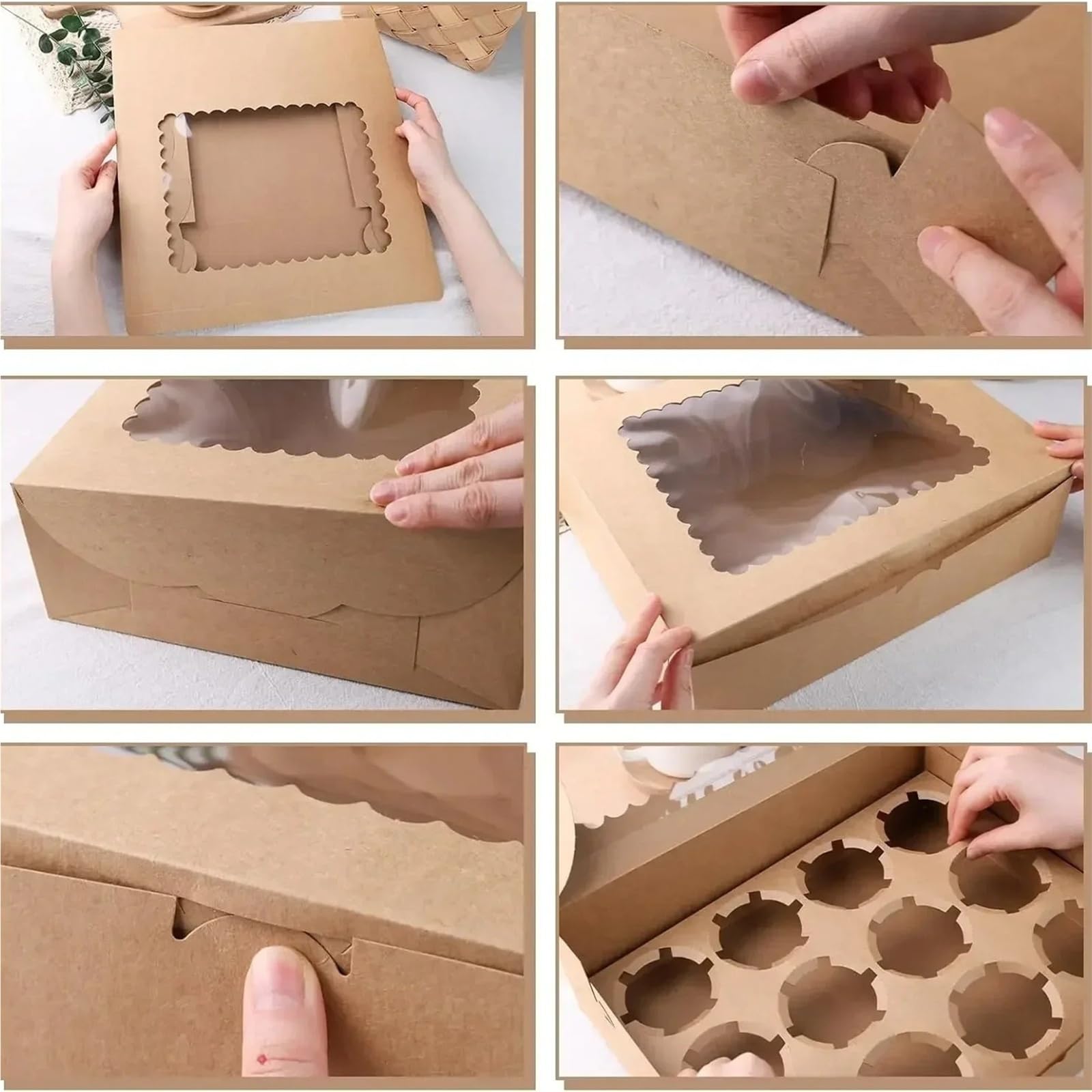 Scatola per Torte Contenitore for cupcake a 12 scomparti