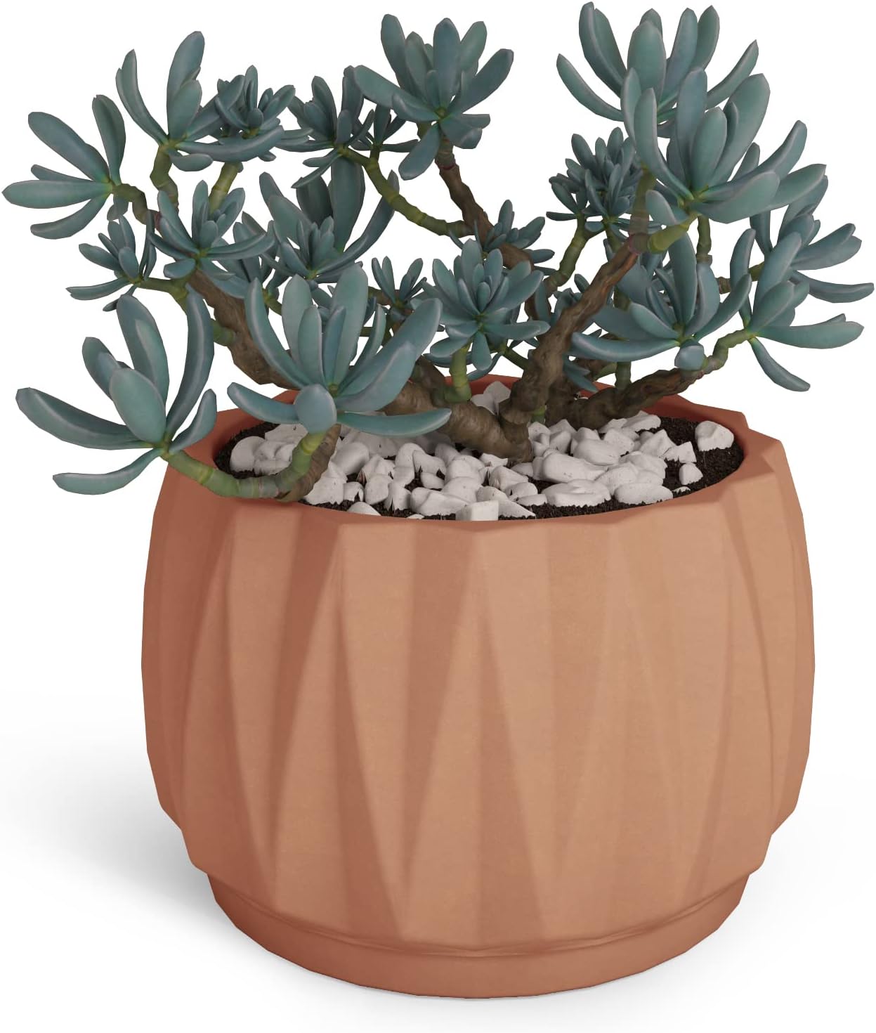 Terra Flame 6in Concrete Flute Flower Pot Planter, for Indoor/Outdoor Modern Design with Drainage Hole - Rose