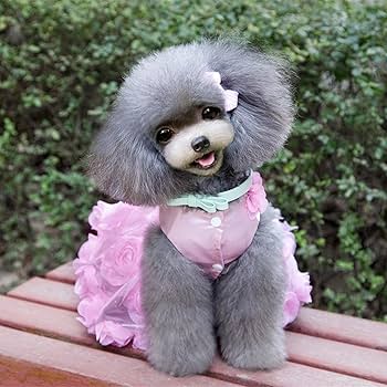 Vestito Principessa Per Cani - Gonna A Farfalla A Righe, Taglie XS-XXL - Foto 11