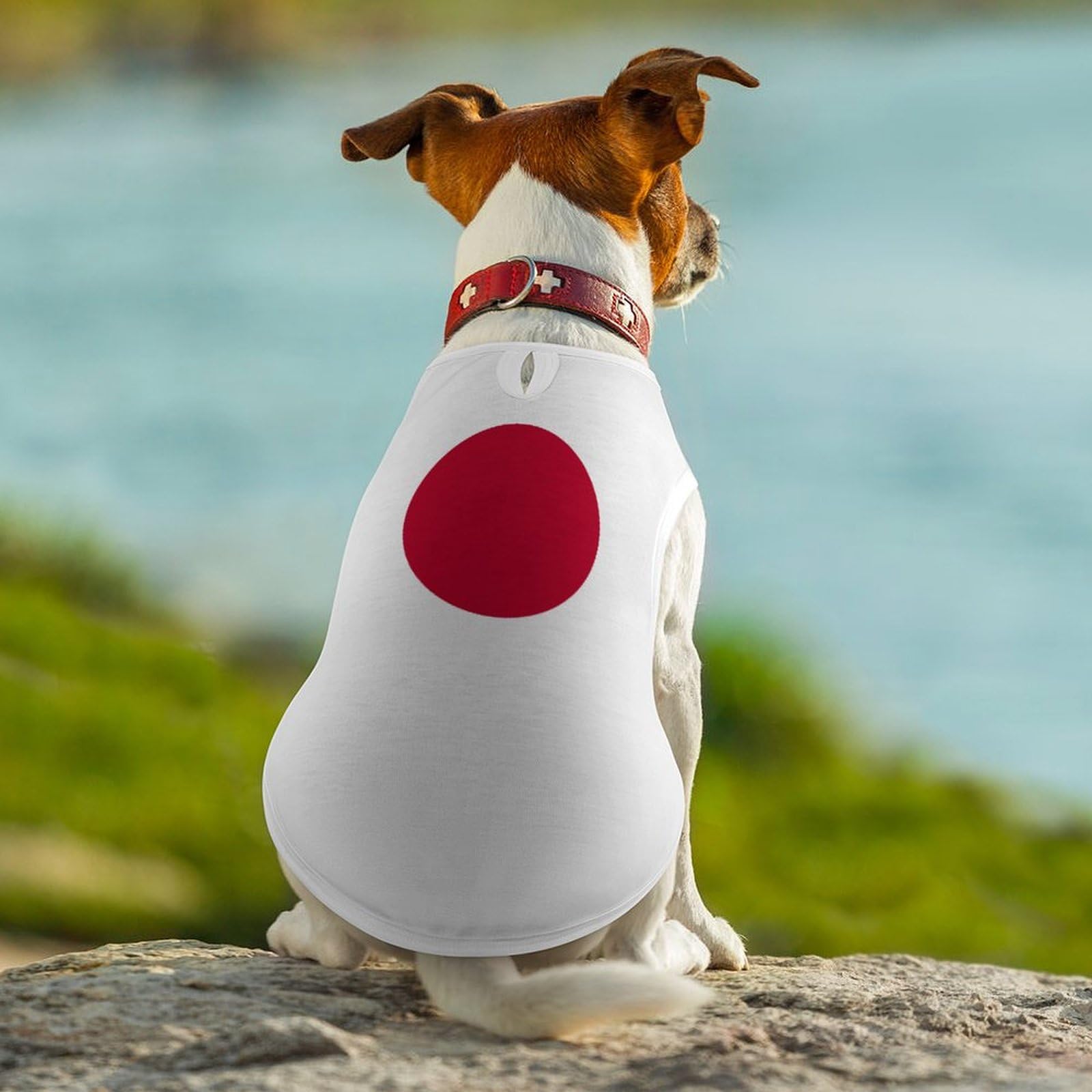 Amazon.co.jp: 犬服 日本国旗 日の丸 ペット服 猫服 おしゃれ 犬の服