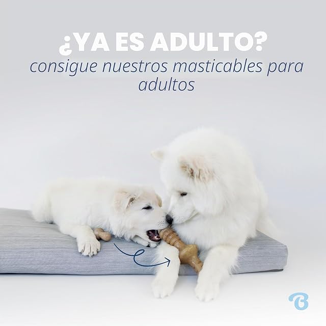 Foto 5 de 6 de Benebone Juguete masticable Indestructible para Cachorros, para masticadores agresivos