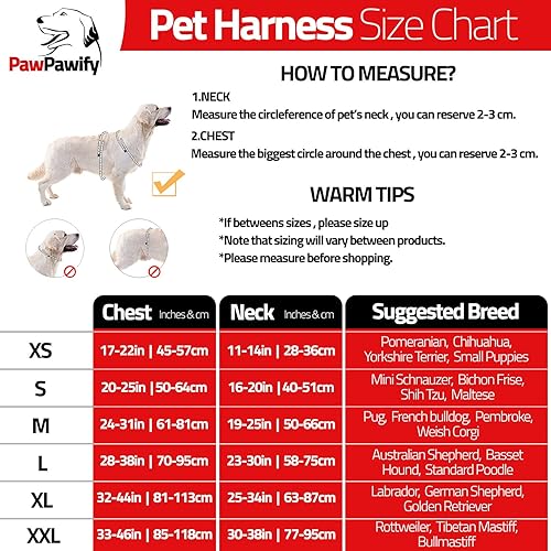 Miniatura 5 de PawPawify - Arnés para perro, antitirones, personalizable con nombre y número de teléfono, resistente para evitar tirones, ahorcamiento, ideal para