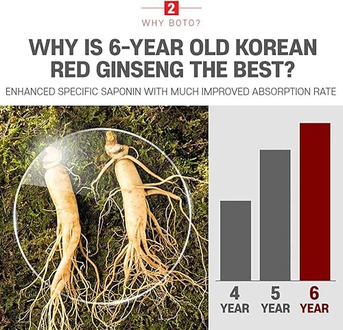 Miniatura 4 de BOTO - Extracto de ginseng rojo coreano de 6 años de oro puro  Suplemento de ginseng coreano premium para vitalidad diaria  100 sobres.