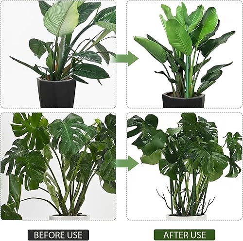 Miniatura 6 de Paquete de 5 soportes apilables para plantas Monstera, estacas para plantas de interior y exterior, estacas de jardín para plantas trepadoras y