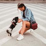 Cestfini Sneakers de haies à talon élevé pour les femmes - Chaussures Hidden Sneakers Dentelles, Meilleur Chioce pour l'usure quotidienne et occasionnelle