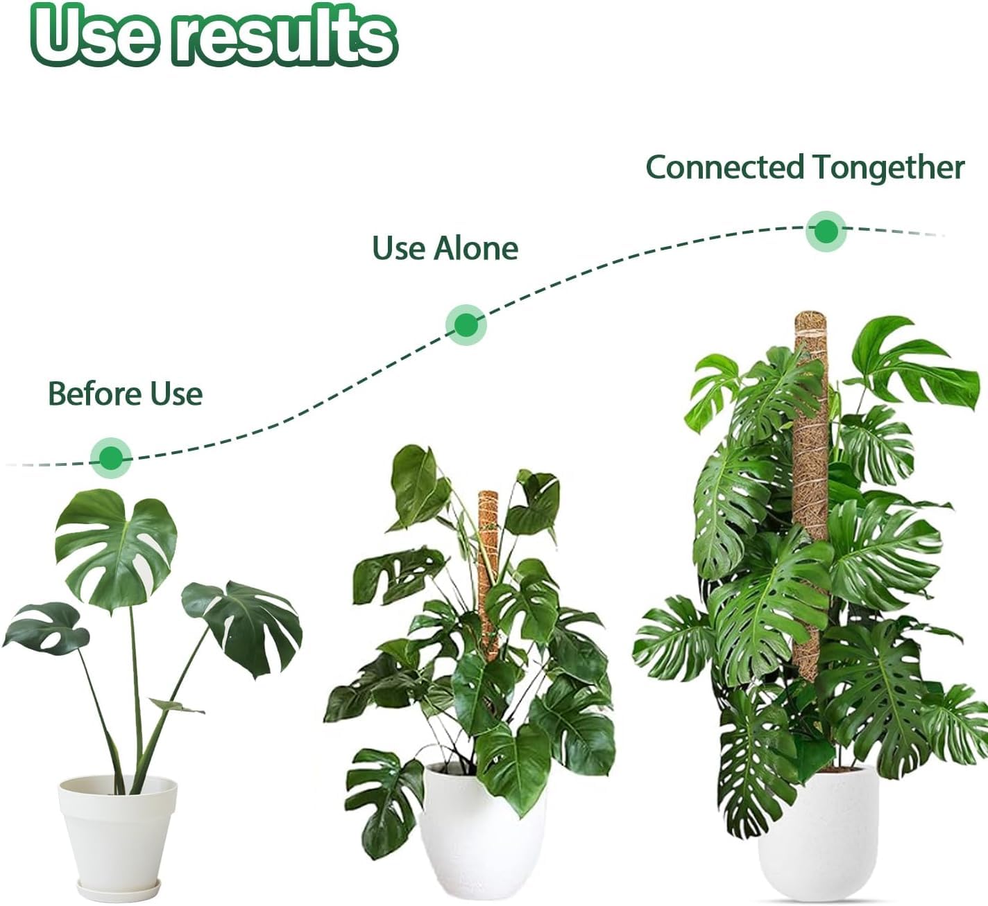 Lot de 4 bâtons de mousse pour plantes grimpantes d'intérieur, 160 cm pour Monstera, support en fibre de coco pour plantes en pot