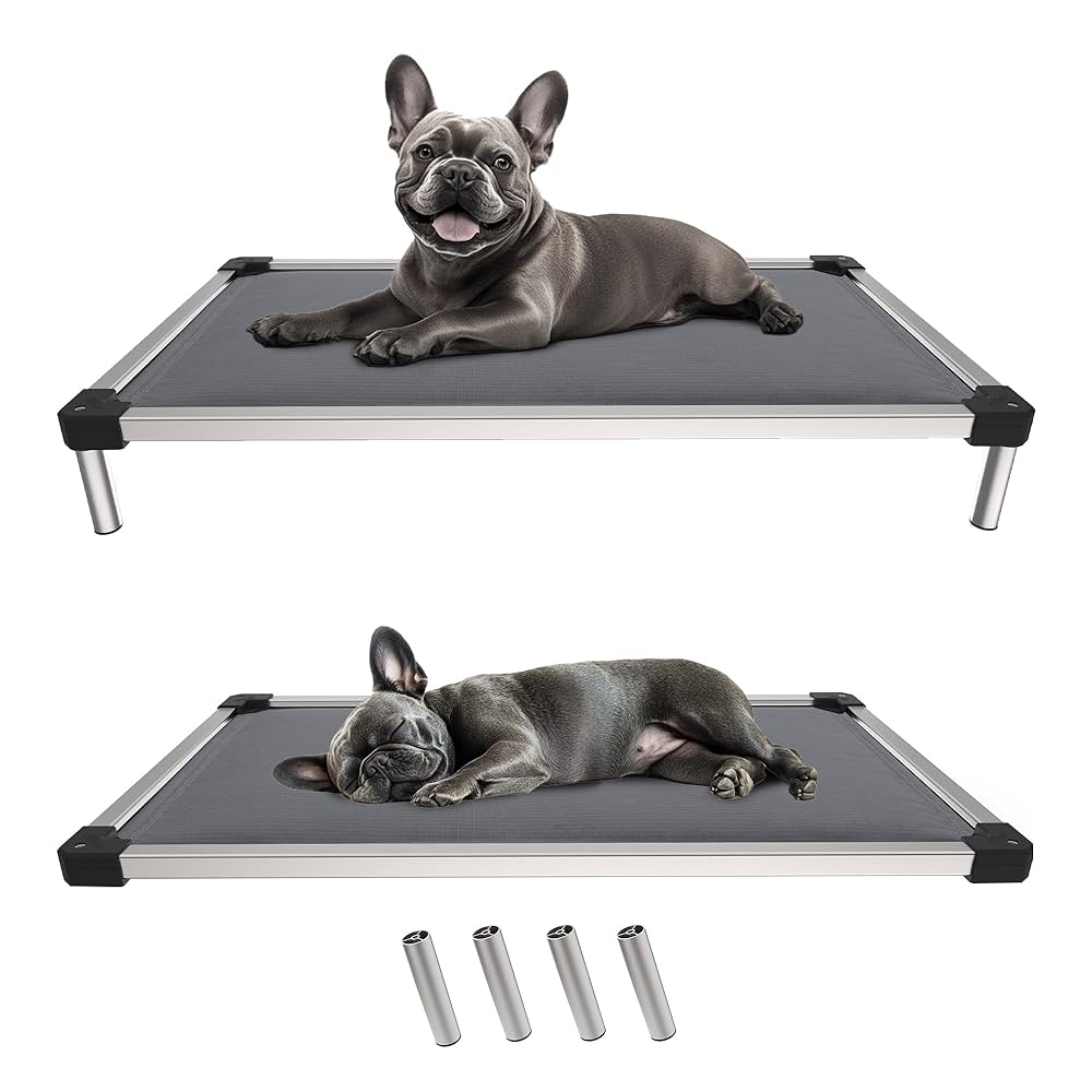 Amazon.com : FXW TitanNest Chew-Proof Elevated Dog Bed