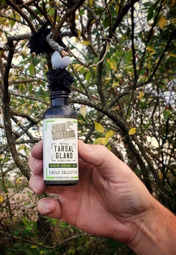 Pure Whitetail | Tarsal Gland Scent | Natural Deer Gland Scent | Mock Scrape Scent | Create a Deer Scent Drag | Make a Licking Branch for Deer | Fill Your Deer Scent Dripper | 2 oz Bottle