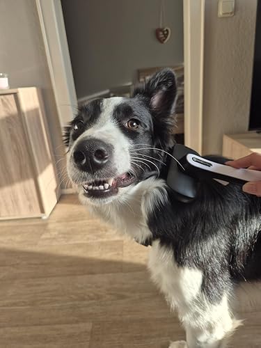 NobelFell Fellbürste Kundenbewertung von Timo P.