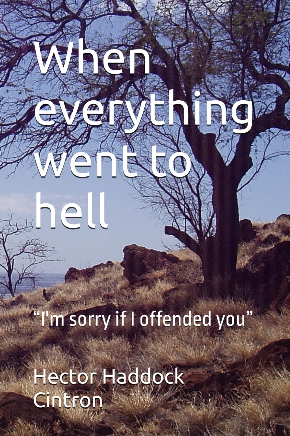 When everything went to hell: “I'm sorry if I offended you”
