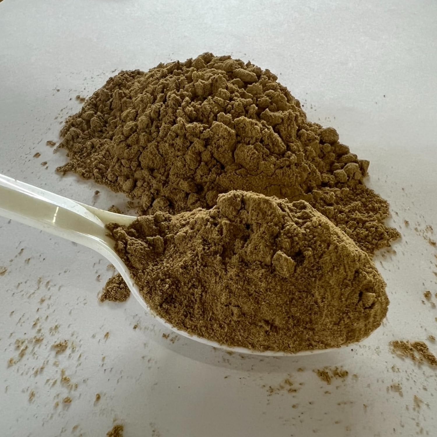 タマミジンコ 50g めだか ベタ 金魚 などの餌に 1日1名限定 | 微粒子粒50g針子〜稚魚～成魚用 メダカの餌万能餌100万匹のメダカが元気に育つ幻の餌！ もちろん めだか 以外の 金魚 や  ベタ グッピー などの 熱帯魚 にも 高タンパクで 稚魚がすくすく成長 綺麗な 水槽に | WORLDGREENAQUARIUM |