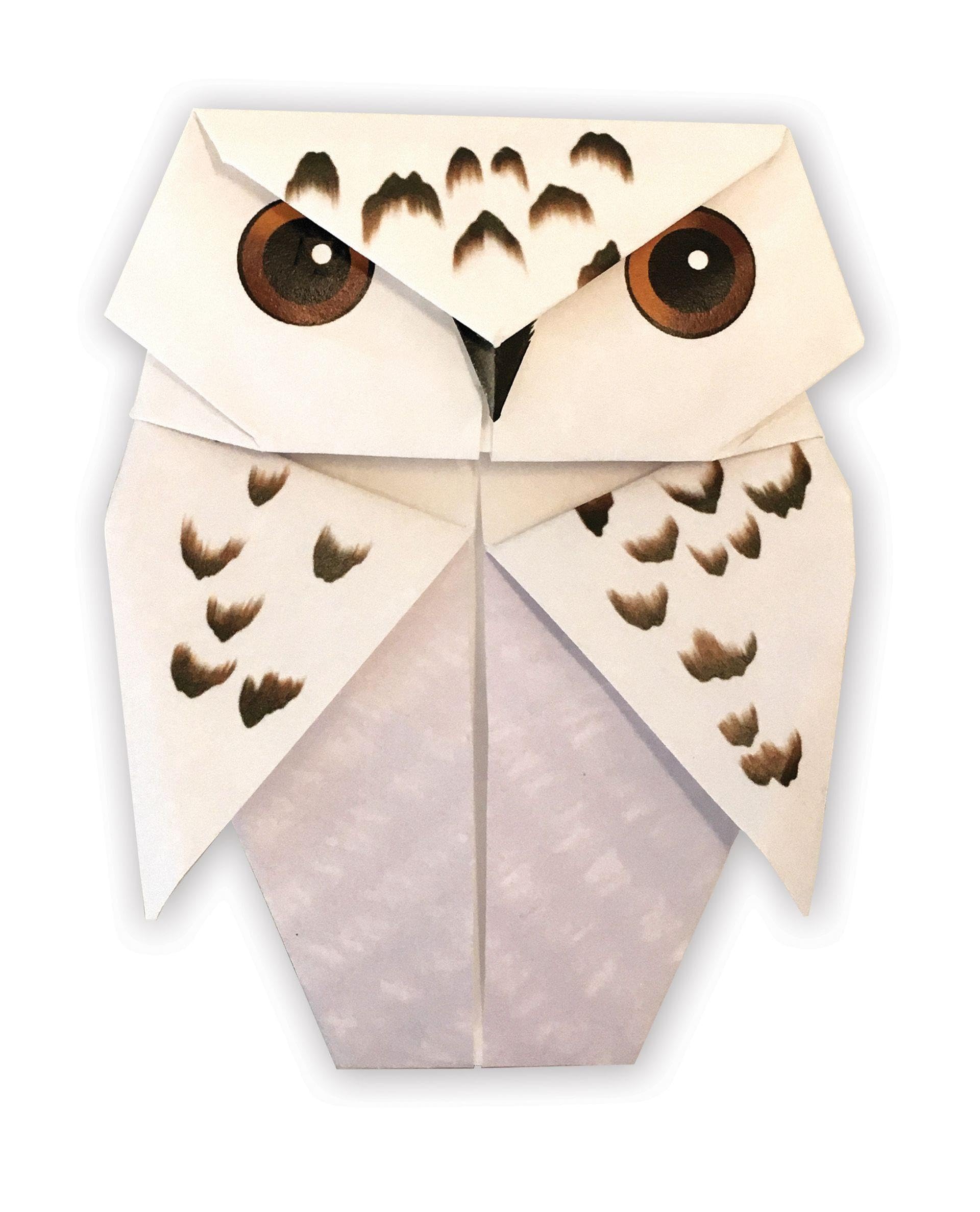 Aus den Filmen zu Harry Potter: Origami: Mit 15 Faltmodellen!