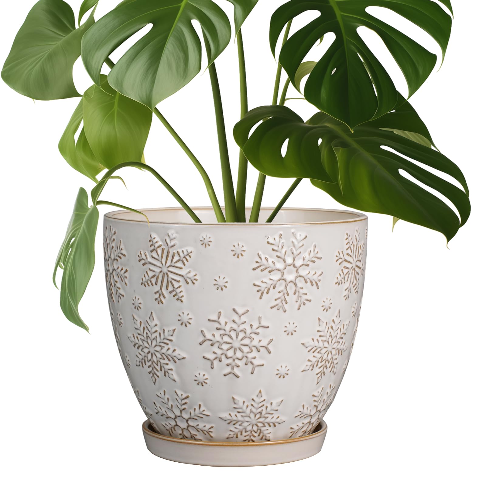MPotTo Ceramic Planter