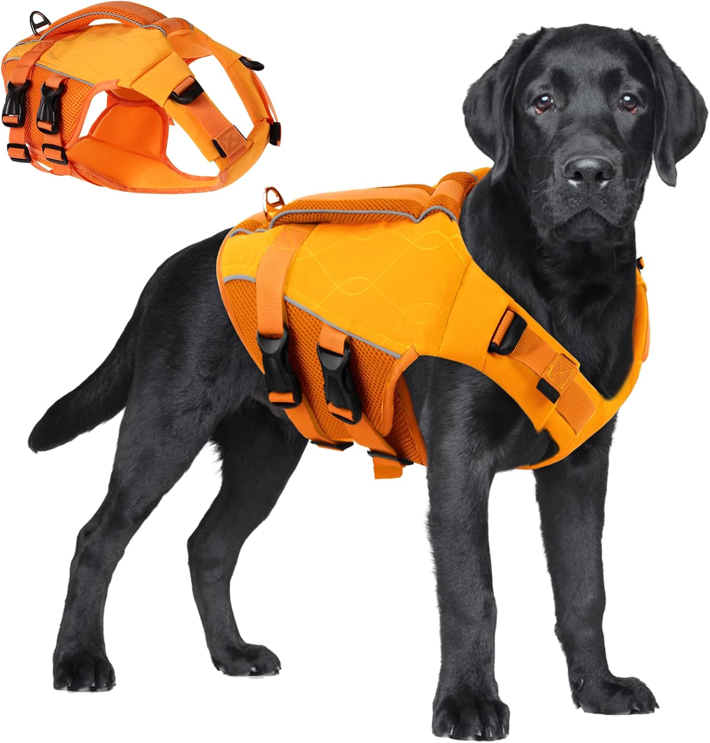 ASENKU Dog Life Jacket with Rescue Handle, Dog Life Vest