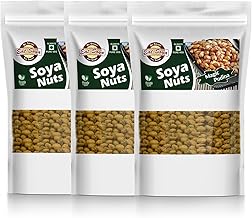 EAT SOYA Roasted Soy Nuts (Magic Pudina)