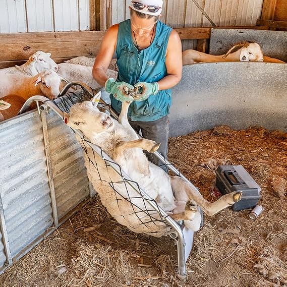 Premier 1 Deck Chair for Sheep