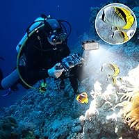 Vista 6 de Suptig Luz de buceo de alta potencia, regulable, impermeable, LED, luz de video, luz nocturna, buceo, luz subacuática, impermeable, 147.6 ft