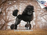 Vista 196 de Razas de Perros 2017