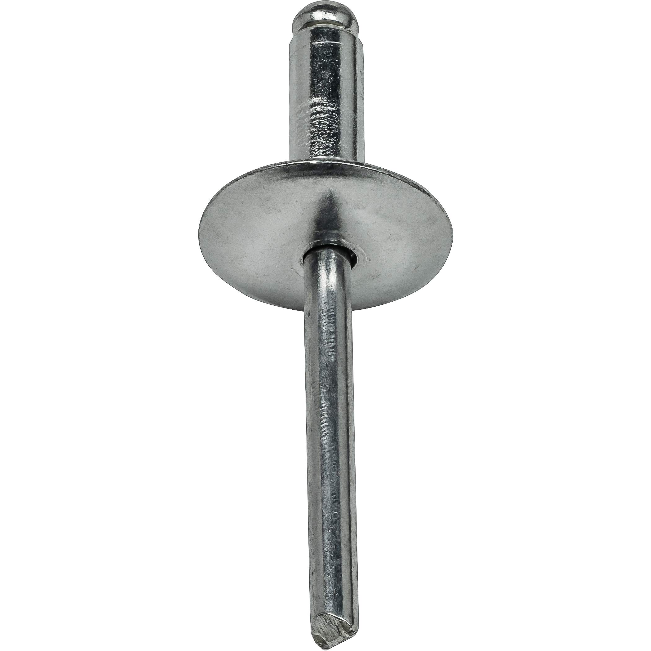 Amazon.com: Fastenere Large Flange Pop Rivets - 3/16