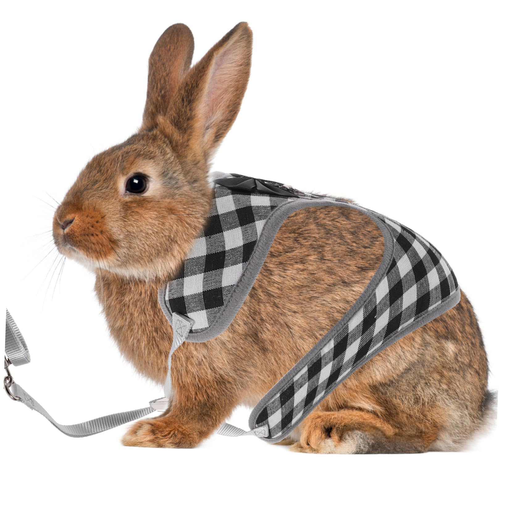 BESPORTBLE 5sätze Kleintiere Einstellbares Kaninchengeschirr Mit Leine Süßes Bunny Kostüm Für Haustiere Für Und Fotos