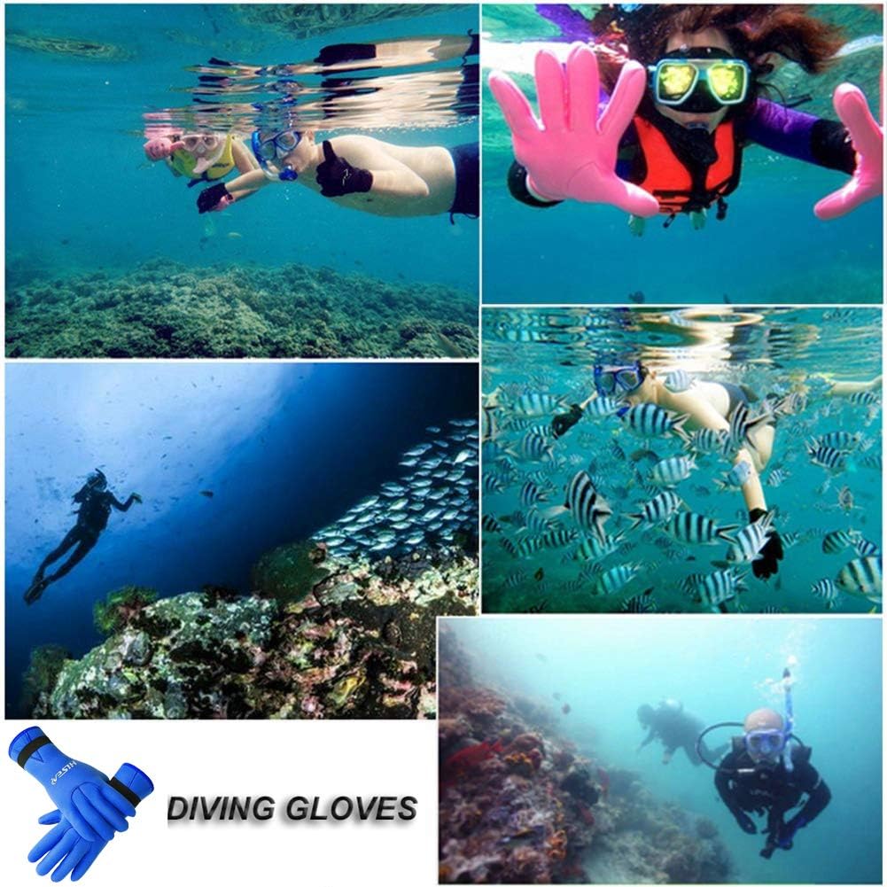 DiNeop Neoprene Gloves Diving Scuba Gloves 3MM for Women Men Kids, Kayaking Wetsuit Gloves Thermal Anti-Slip for Paddling Snorkeling Swimming Sailing Surfing Canoeing Spearfishing (Blue, XL) : Sports & Outdoors