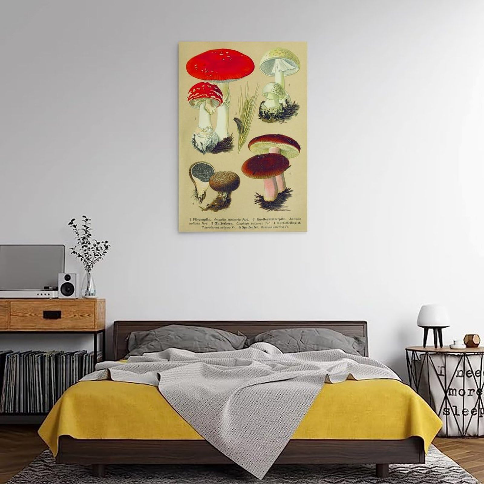 generisch Mushrooms of Central European Modern Canvas Prints, Cuadros Decorativos Para Habitaciones de Niños o Niñas, Murales para Sala de Estar Y Pinturas con Motivos Festivos24x36 Pulgadas