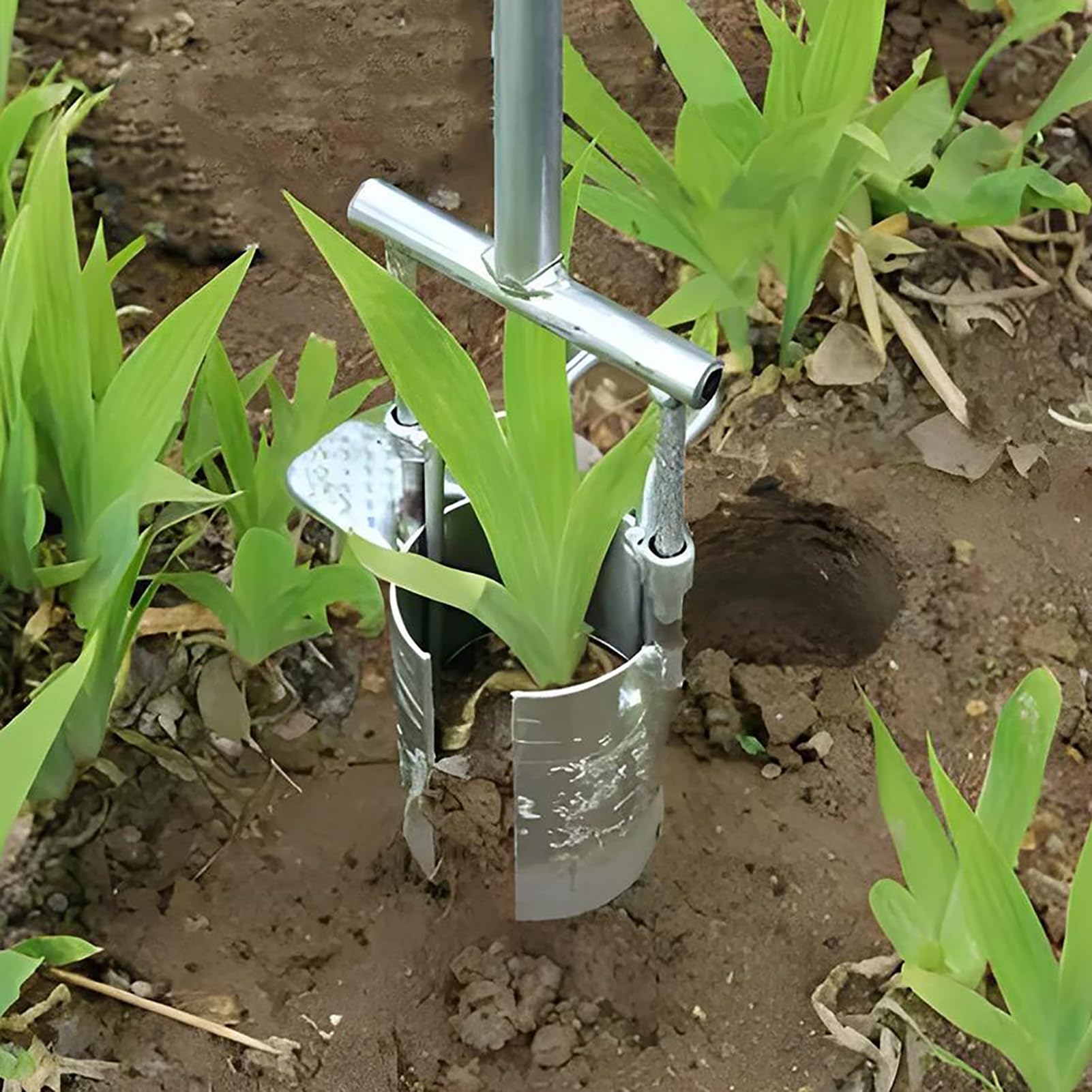 FAXIOAWA Trapiantatrice per piantine di Fiori Strumento per piantare Verdure trapiantatrice per alberelli Multifunzionale agricola in Acciaio Inossidabile