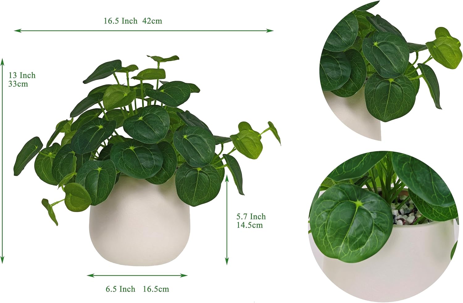 365 Blooming Decor Artificial Pilea Plant – Luxury Potted Money Plant in White Textured Pot with Real Pebbles, Premium Soft Plastic, Pet-Friendly, Realistic Look and Touch, No Assembly