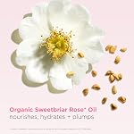 Clarins Lip Oil Balm | Nourishes, Hydrates, and Visibly Plumps | Natural, Sheer Finish and Shine | 99% Skincare Formula and 96% Natural Ingredients | Contains Hydrating Peptide