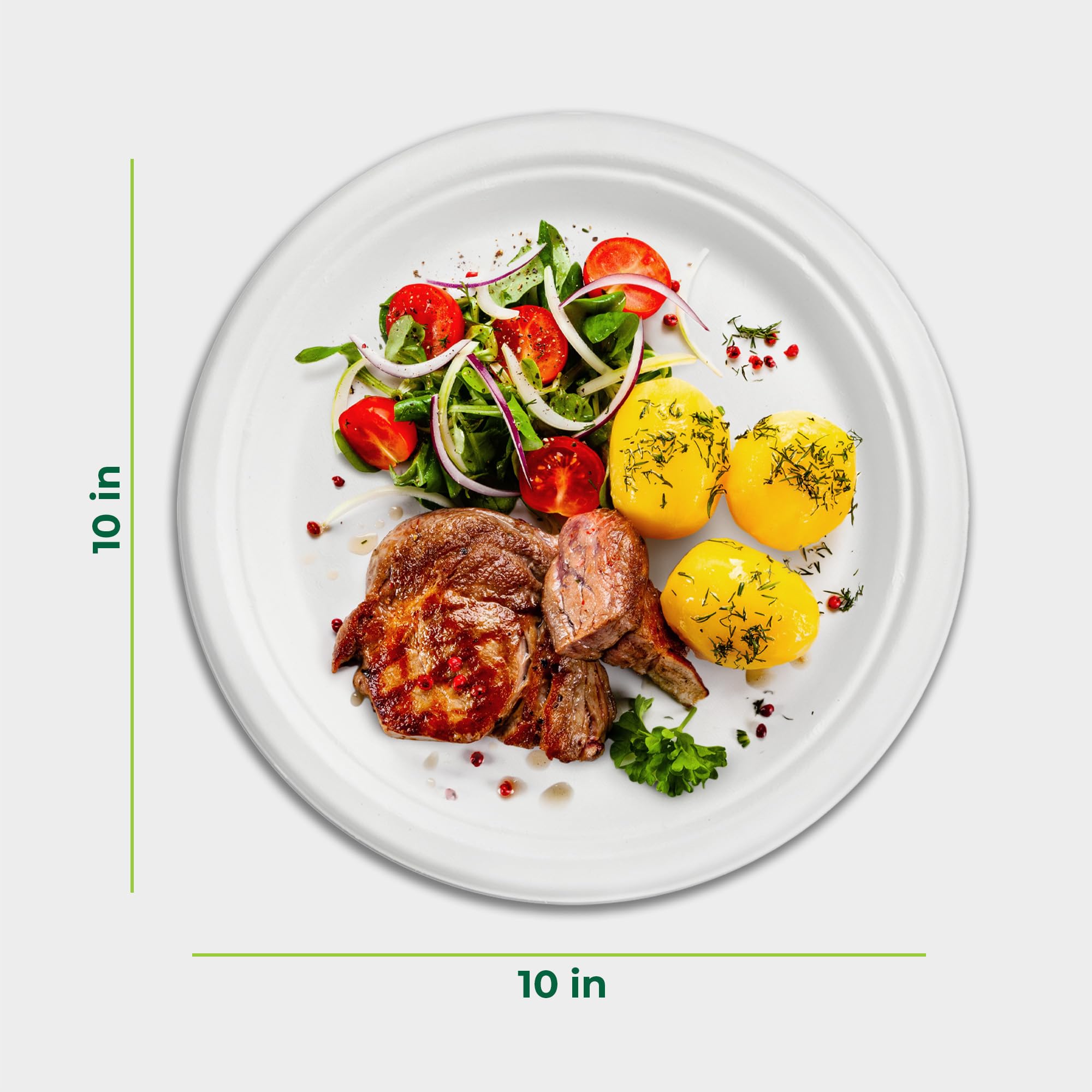 Freshware Platos de papel, plato desechable de 10 pulgadas, platos biodegradables de caña de azúcar, vajilla resistente para alimentos calientes, apto para microondas y congelador, vajilla apilable,
